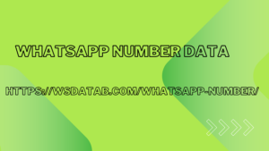 WhatsApp Number Data