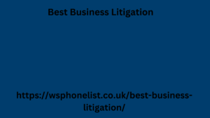 Best Business Litigation