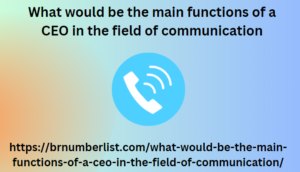 What would be the main functions of a CEO in the field of communication