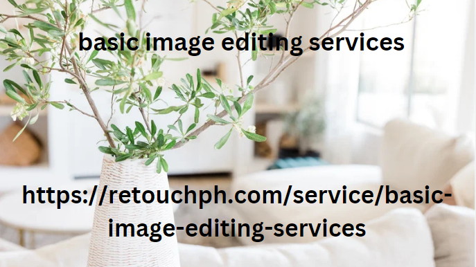 basic image editing services