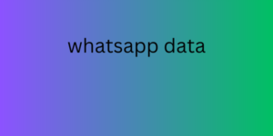 whatsapp data